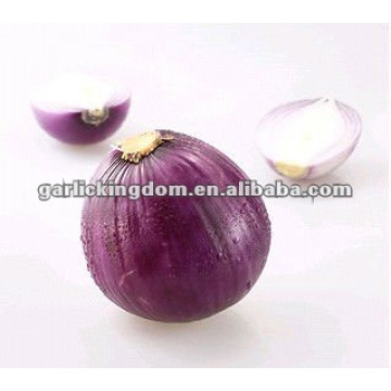 Nova colheita vermelha Shallot